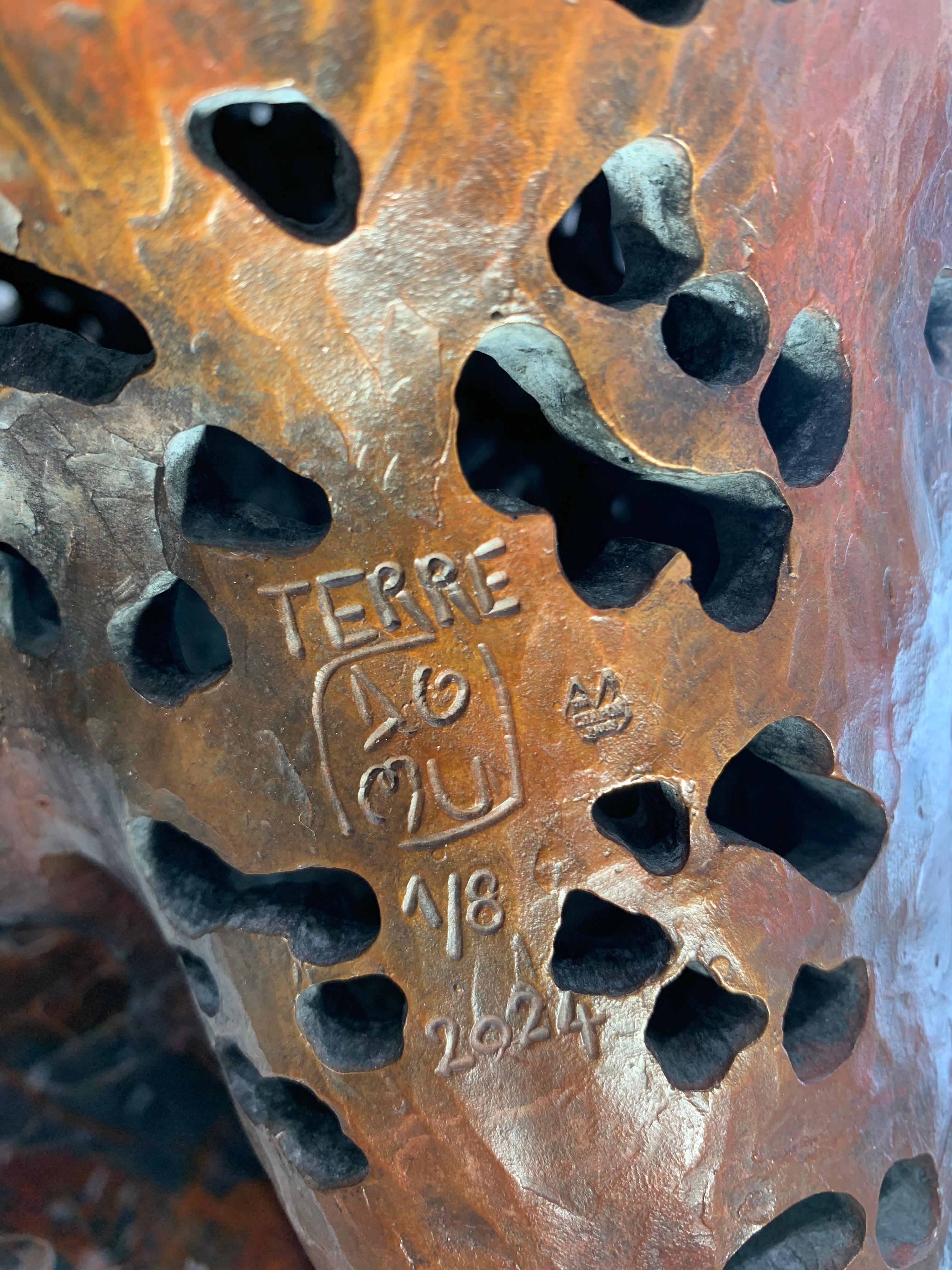 Terre For Sale 2