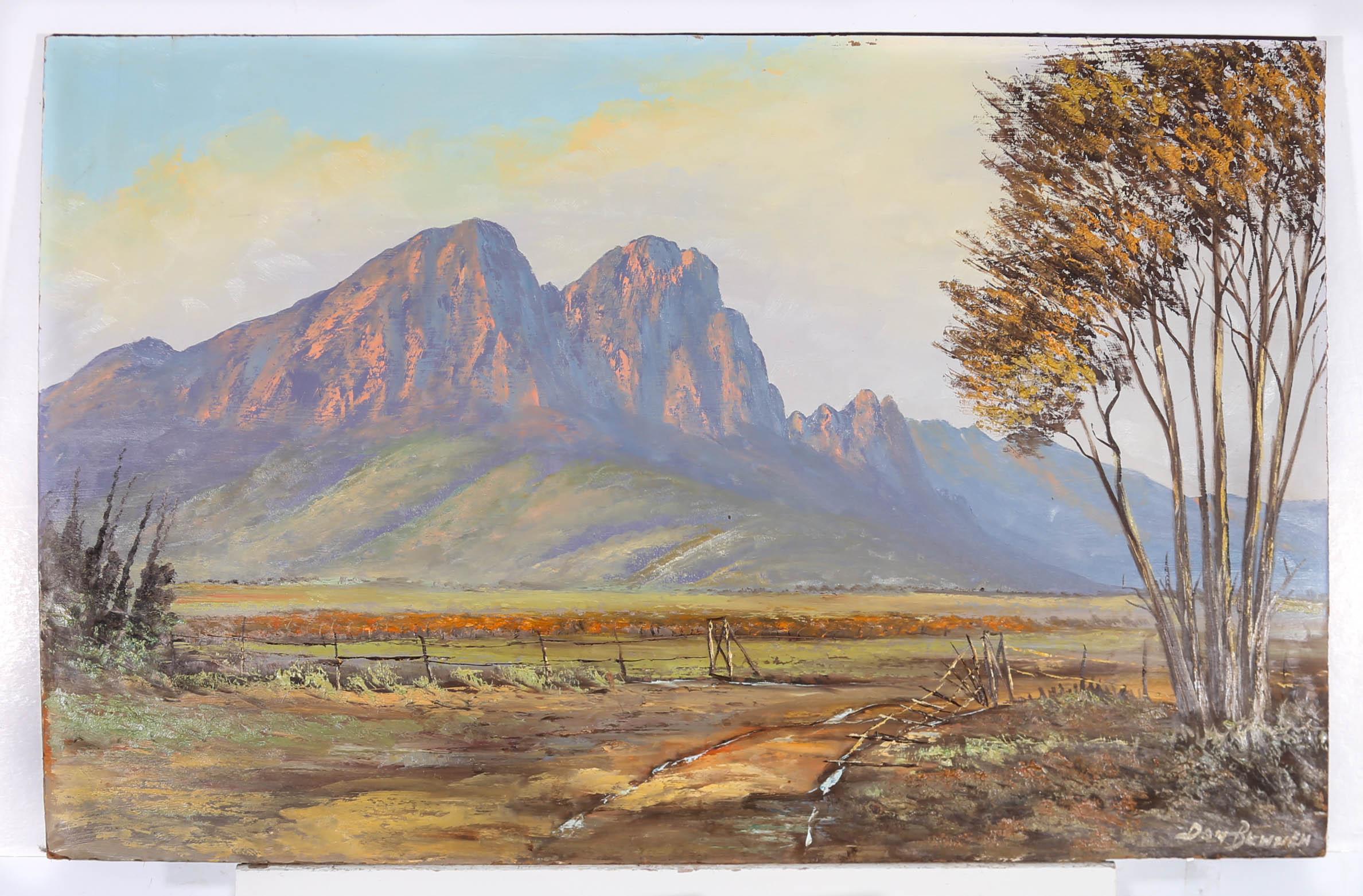 Don Benzien - 20th Century Oil, South African Landscape 1