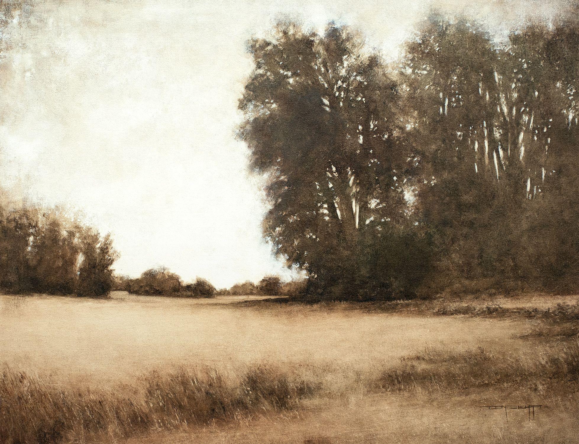 Afternoon Trees 220805 is a contemporary tonal landscape painting with nice light and atmosphere. This painting is part of my Tonal Landscapes series which are landscapes with a focus on soft light. These are paintings of calm places.  These works