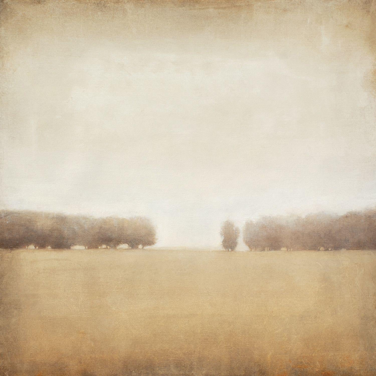 Field And Trees 220316 is a contemporary tonal landscape painting with nice light and atmosphere. This painting is part of my Atmospheric Landscapes series which are modern landscapes with a focus on soft light. These are paintings of calm zen like