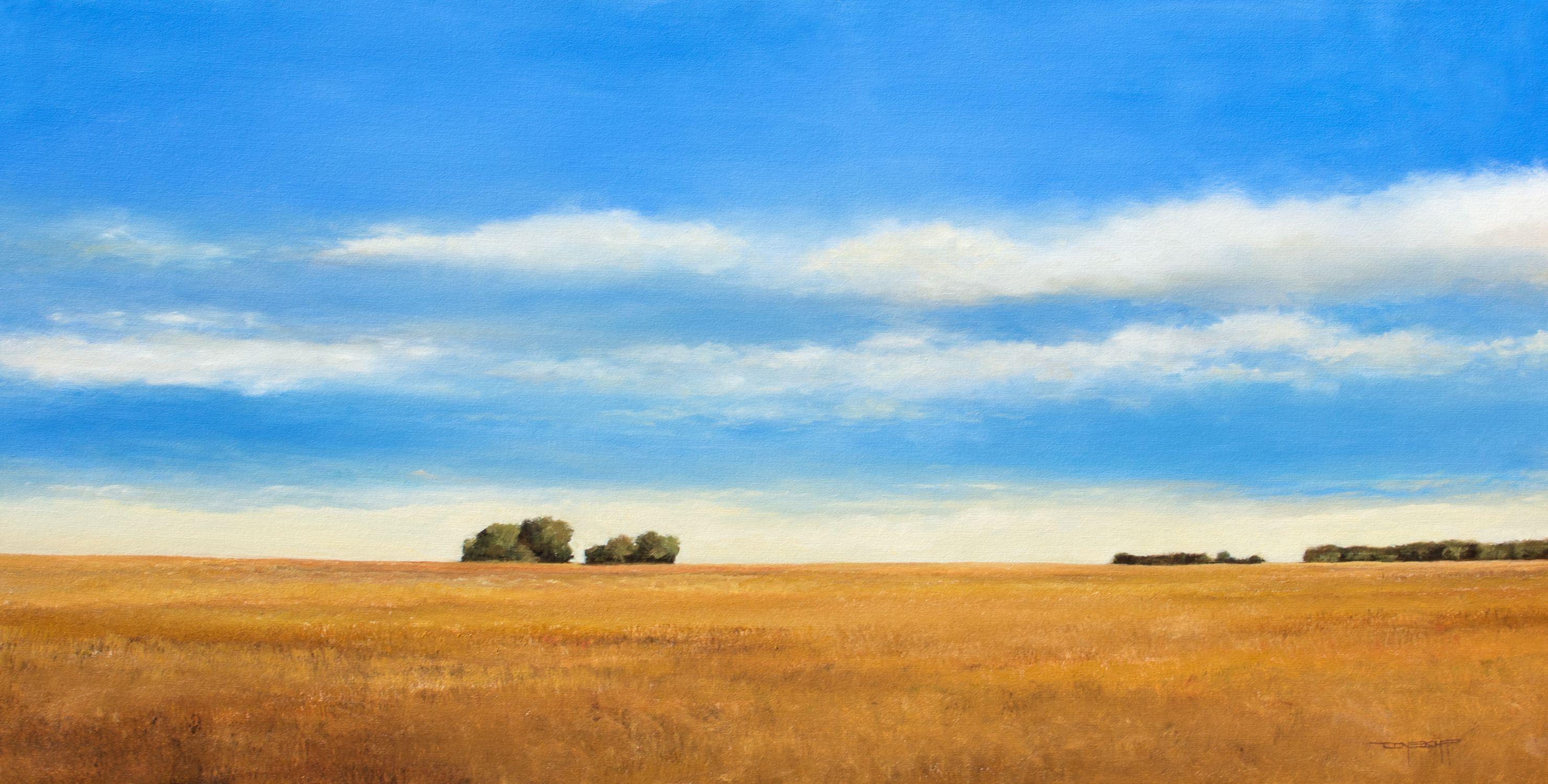 Summer Skies 190726, blue sky series.  Oils on canvas 24x46 inches  Ready to hang, gallery wrapped canvas.    Summer Skies 190726 is a bright colorful impressionist landscape painting.    Painted in oils, this painting is 24x46 inches with lots of