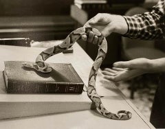 Serpent sur la Bible