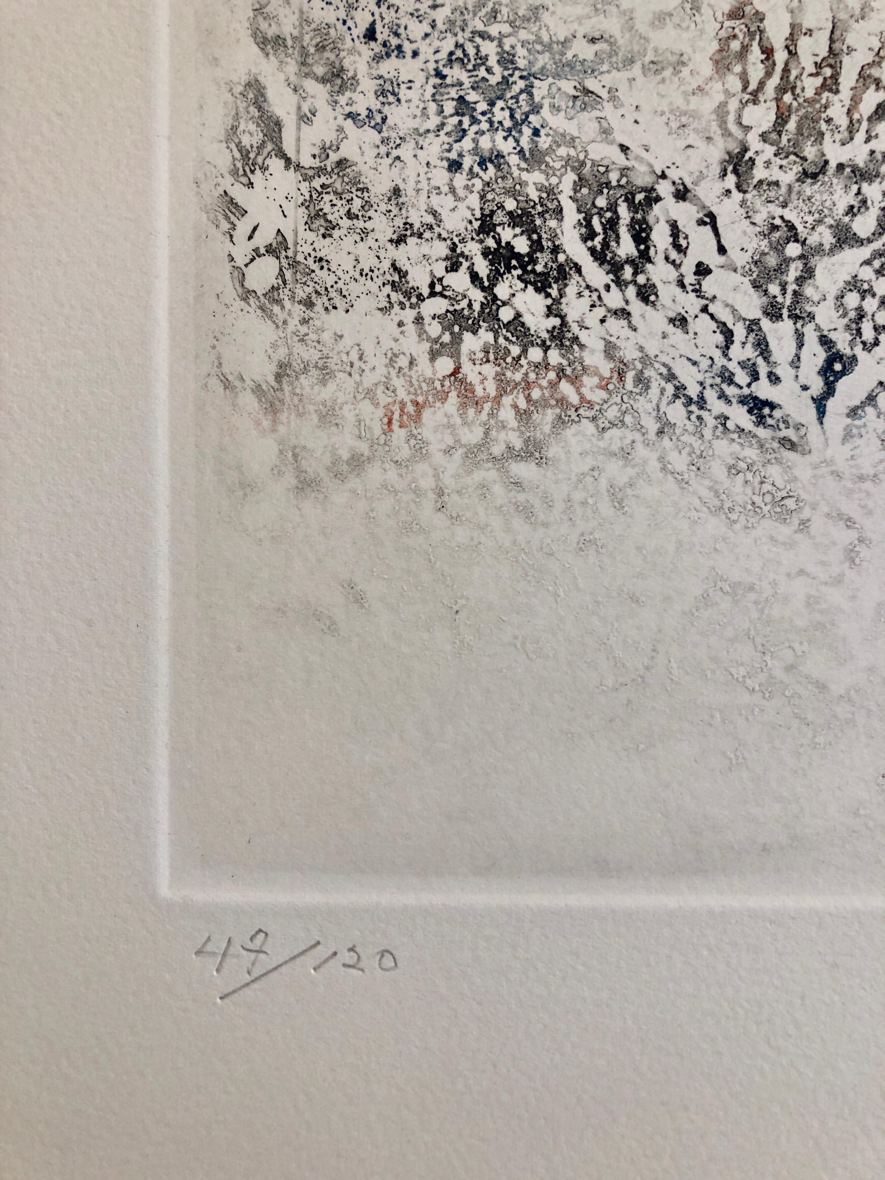 Abstrakte Farbkomposition, amerikanische abstrakte expressionistische Radierung ohne Titel, 60er Jahre  (Abstrakter Expressionismus), Print, von Don Fink