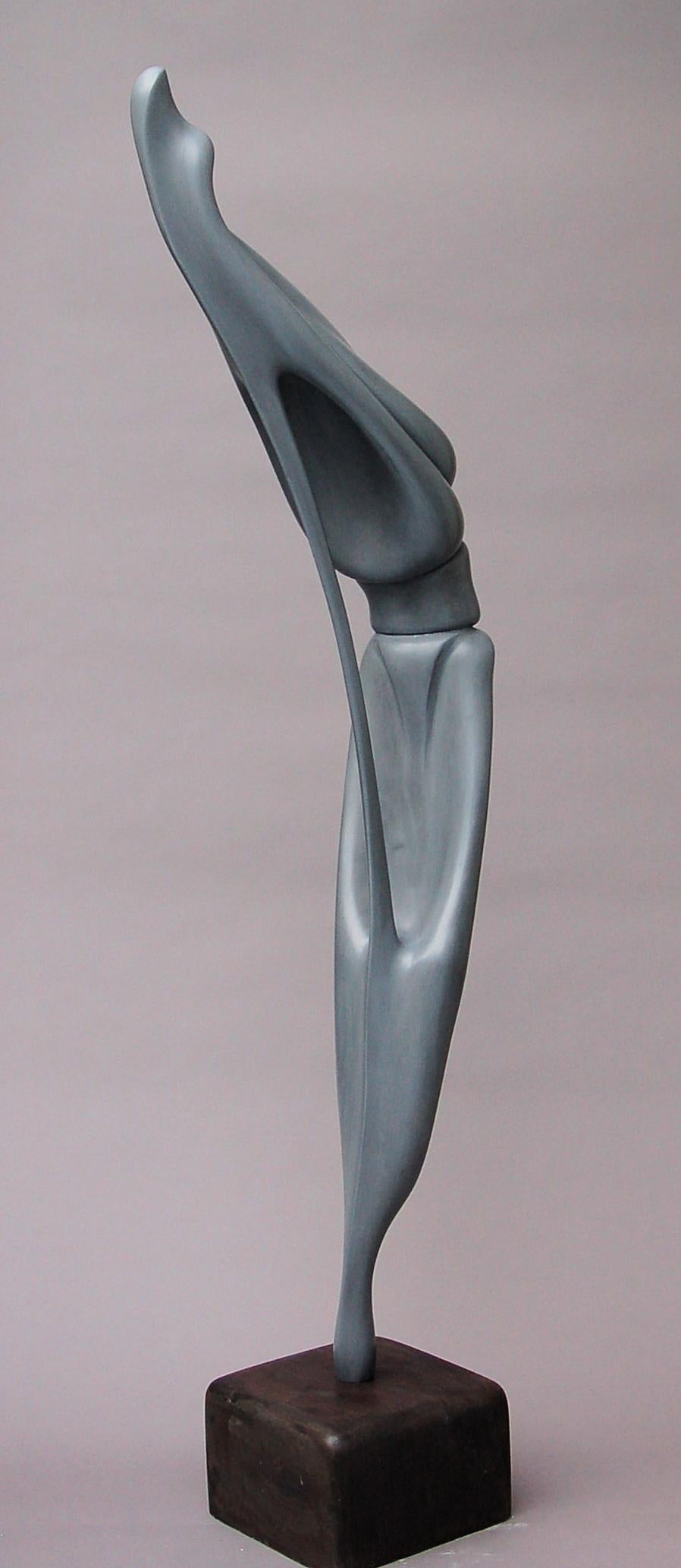 Archer
Fiberglass / Carbon Fibre impregnated with catalysed polyester resin Powder filled acrylic lacquer on filled polyester resin base
58