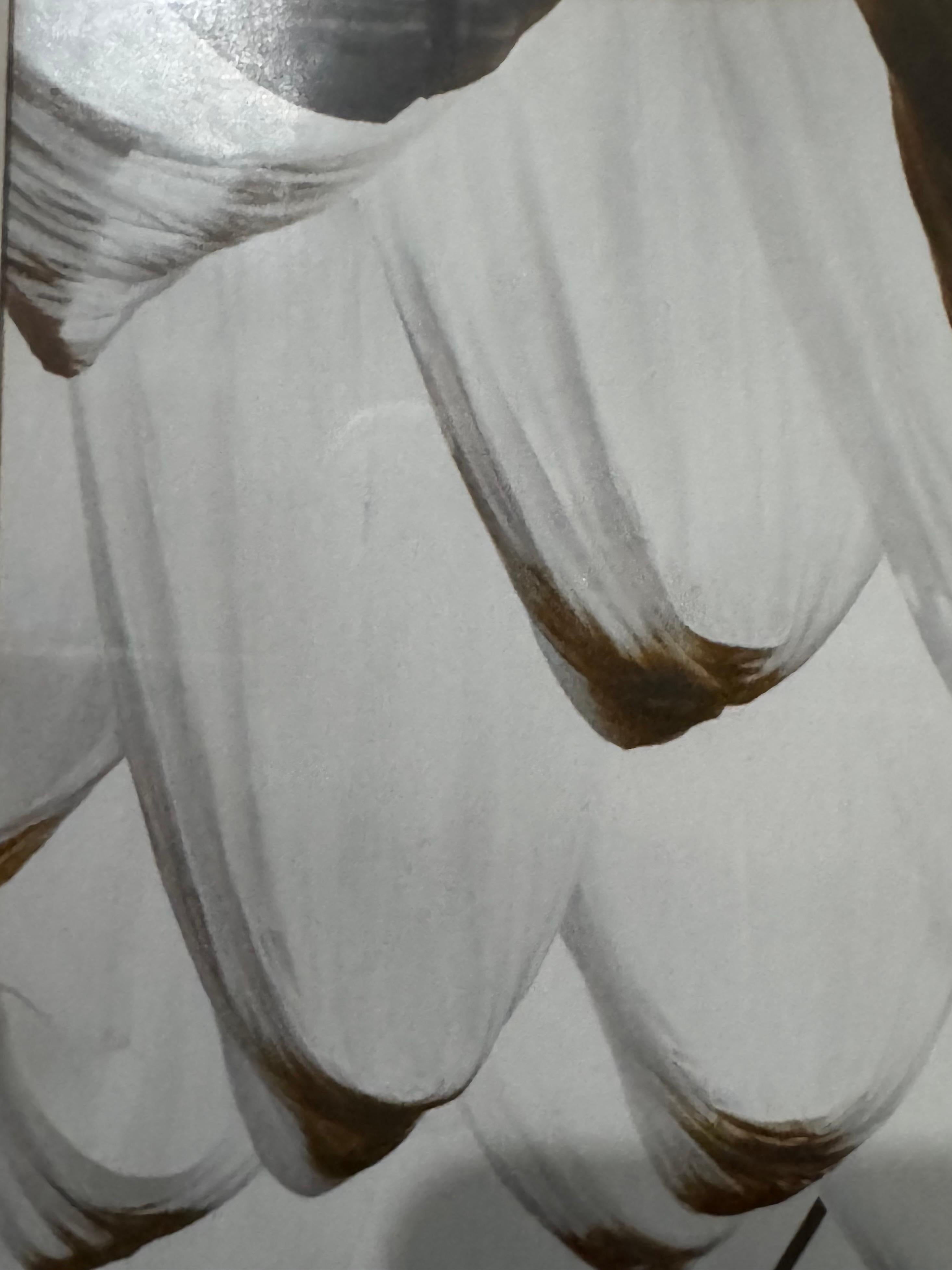 Alluminio Don Hong-Oai 