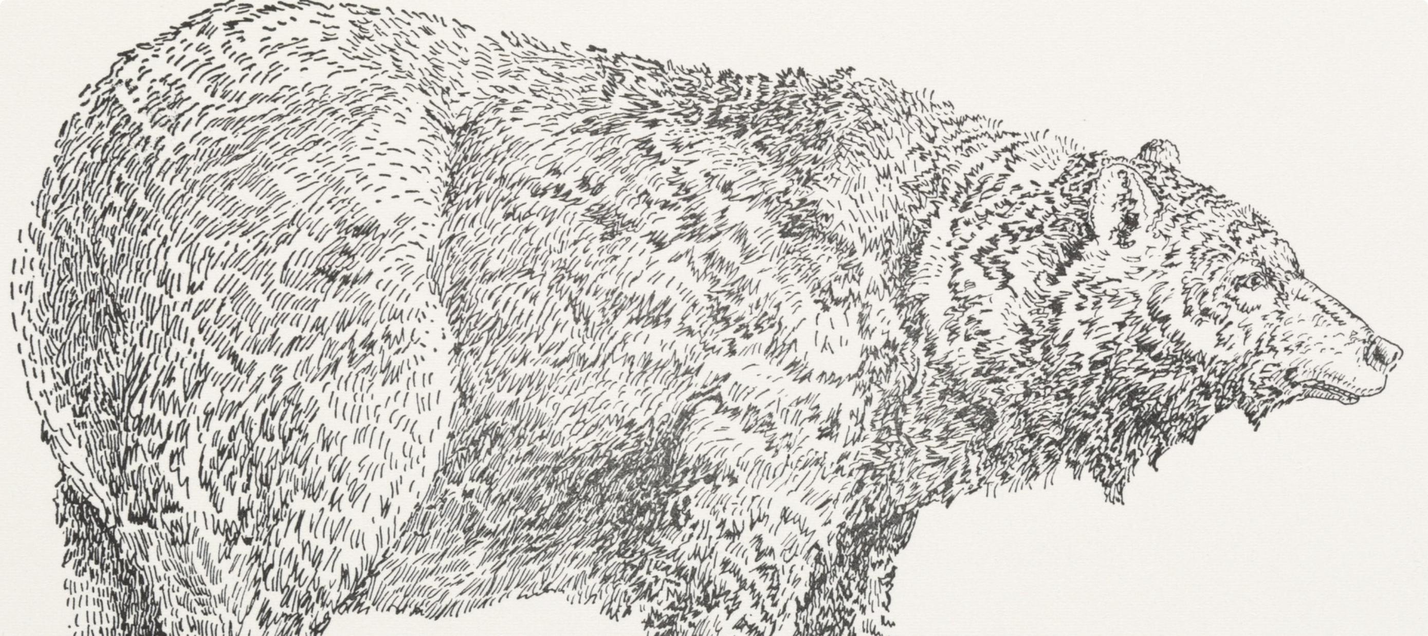Bear with Predella, Rubber Stamp Portfolio, Don Nice For Sale 1