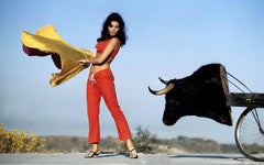 Raquel Welch and the Bull Fine Art Print