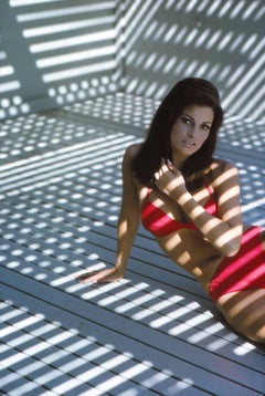 Raquel Welch mit rotem Bikini-Kunstdruck bedruckt