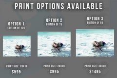 Raquel Welch Swimming in Ocean Fine Art Print