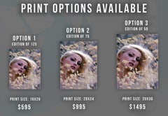 Virna Lisi in Flowers Fine Art Print