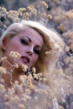 Virna Lisi in Blumen, Kunstdruck