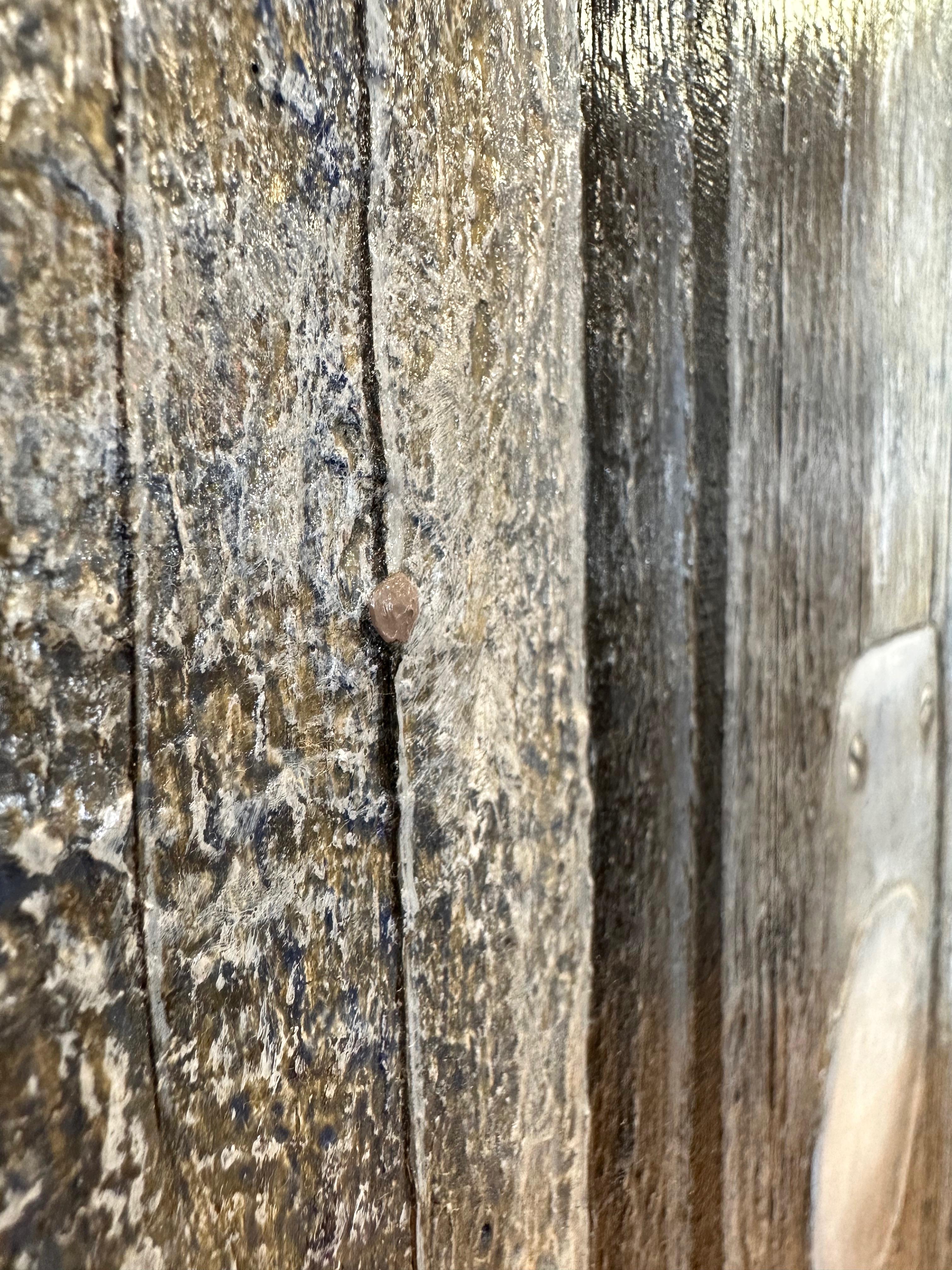 Don Paglia, Composition en trois tons, peinture réaliste en trompe-l'Oeil, 1980 en vente 1