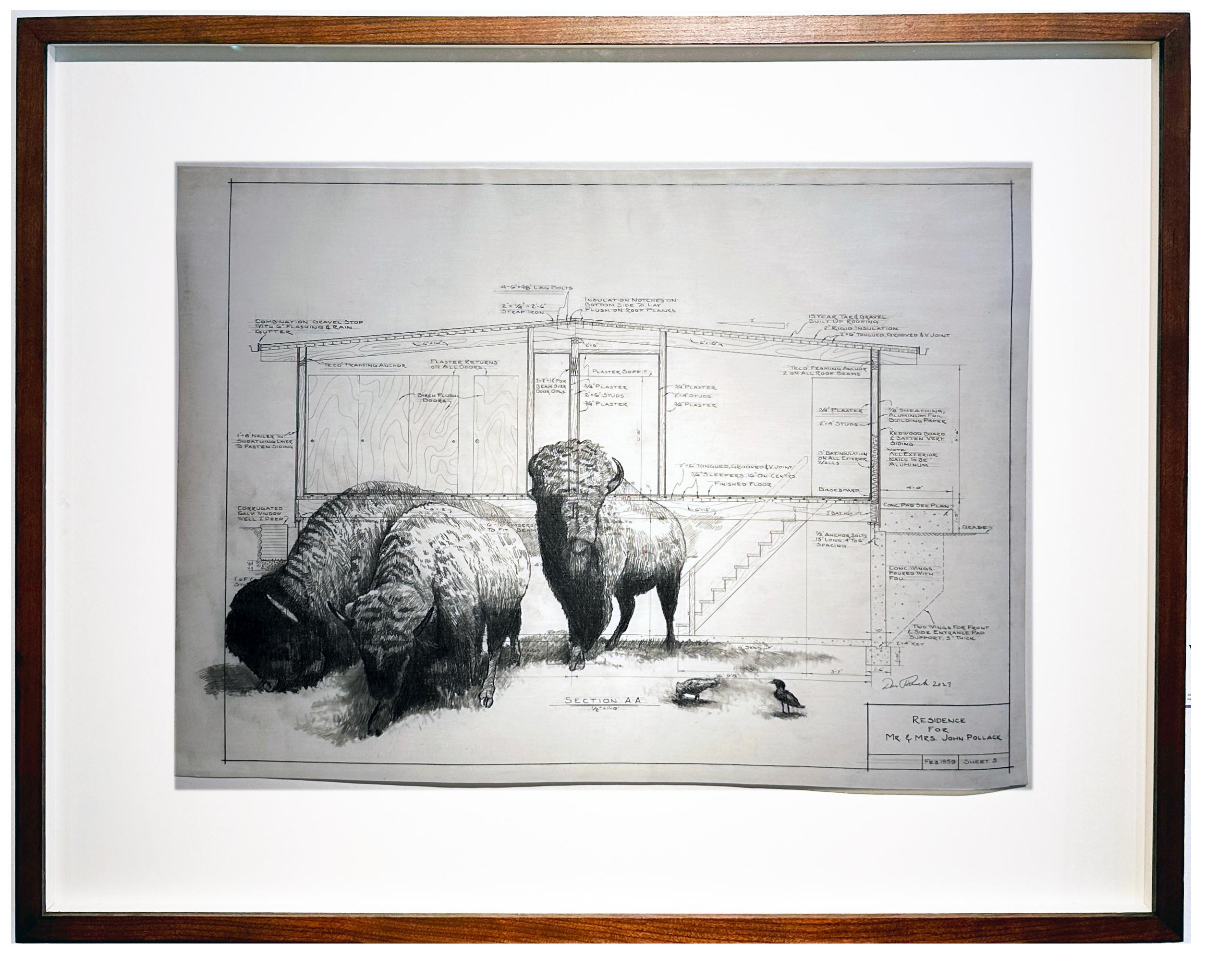 Base graduata e livellata - Buffalo in grafite su disegni architettonici antichi