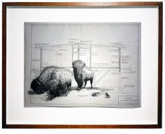 Base Graded and Level - Buffalo in Graphite on Antique Architectural Drawings