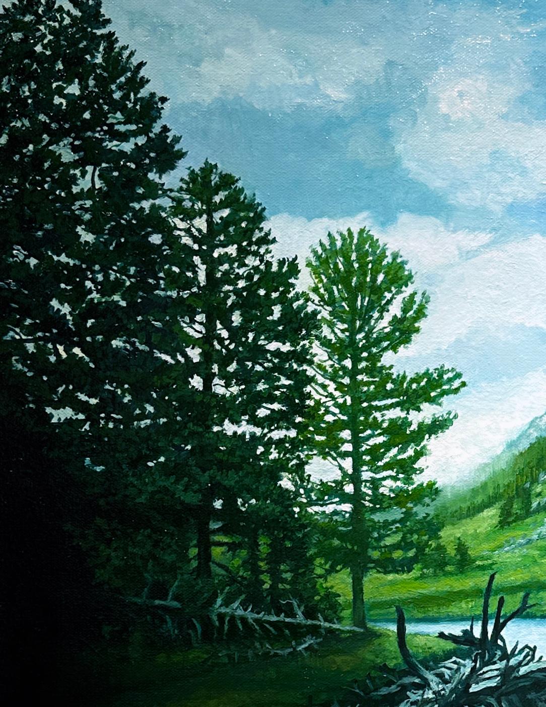 Lily Lake, Parque Nacional de las Montañas Rocosas, CO, Óleo original sobre lienzo, enmarcado - Painting Contemporáneo de Don Pollack