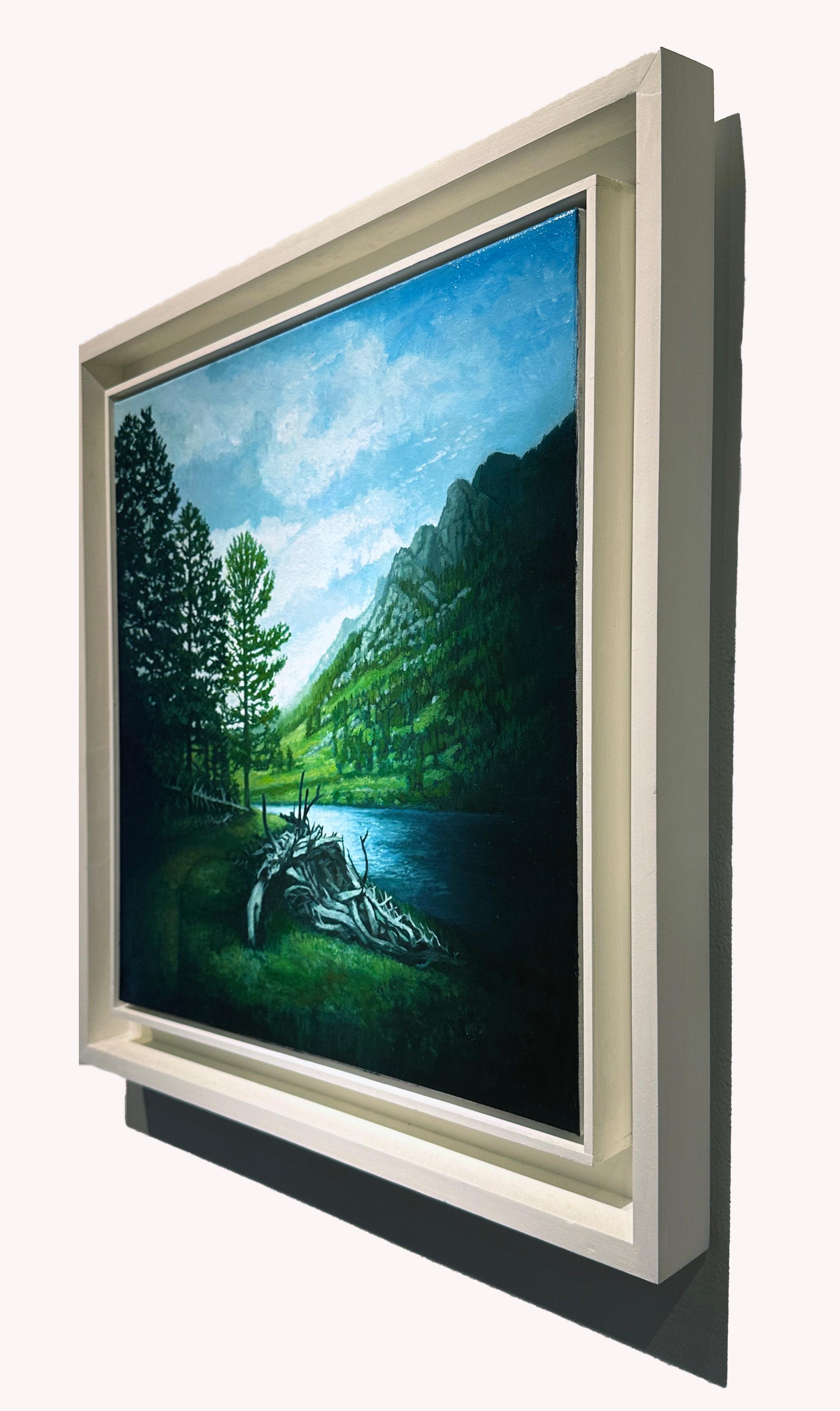 Lily Lake, Parque Nacional de las Montañas Rocosas, CO, Óleo original sobre lienzo, enmarcado - Landscape Painting Negro de Don Pollack