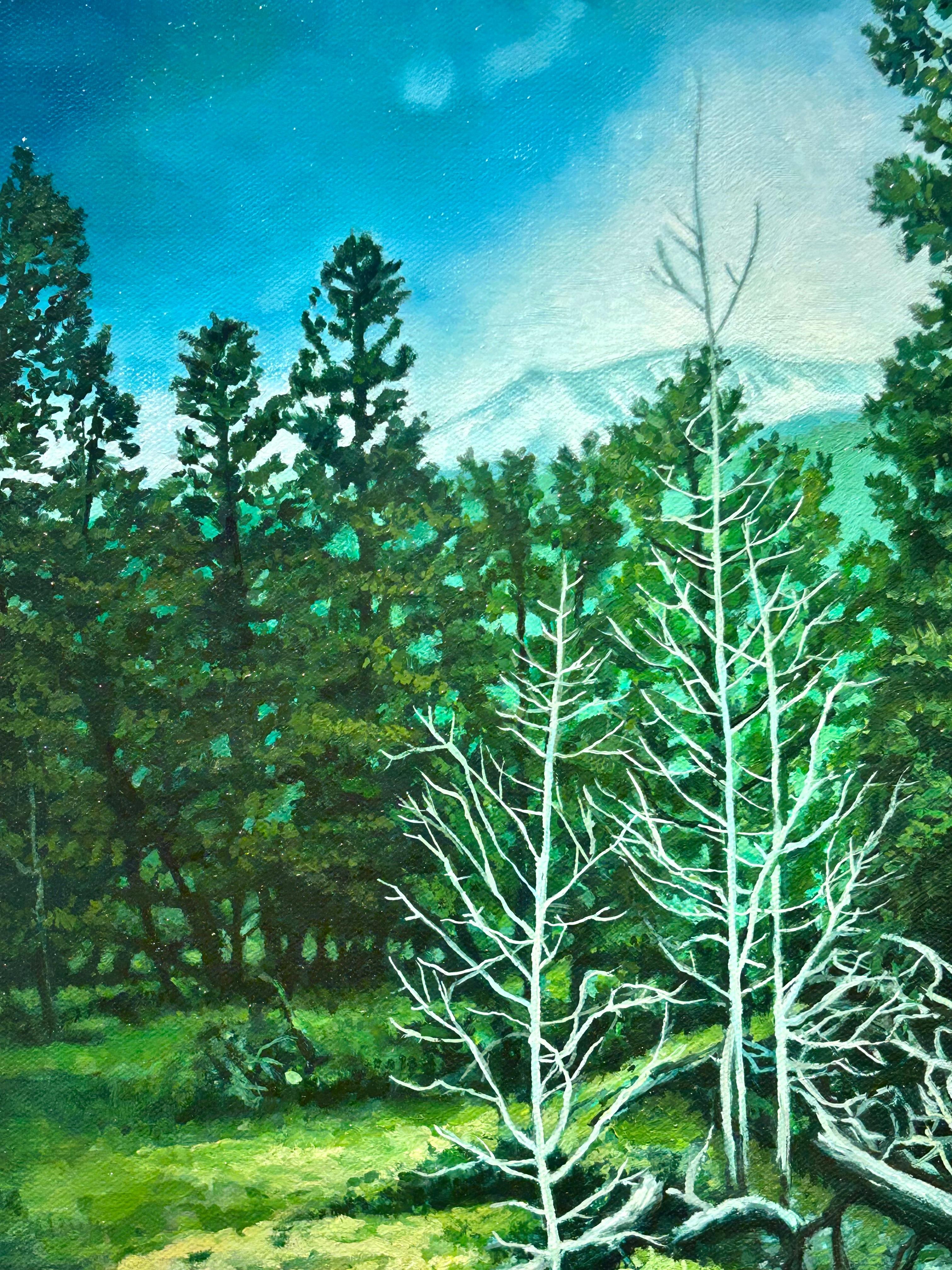 Montaña Lirio, Bosque Secreto, Parque Nacional de las Montañas Rocosas, Óleo original, Enmarcado - Painting de Don Pollack
