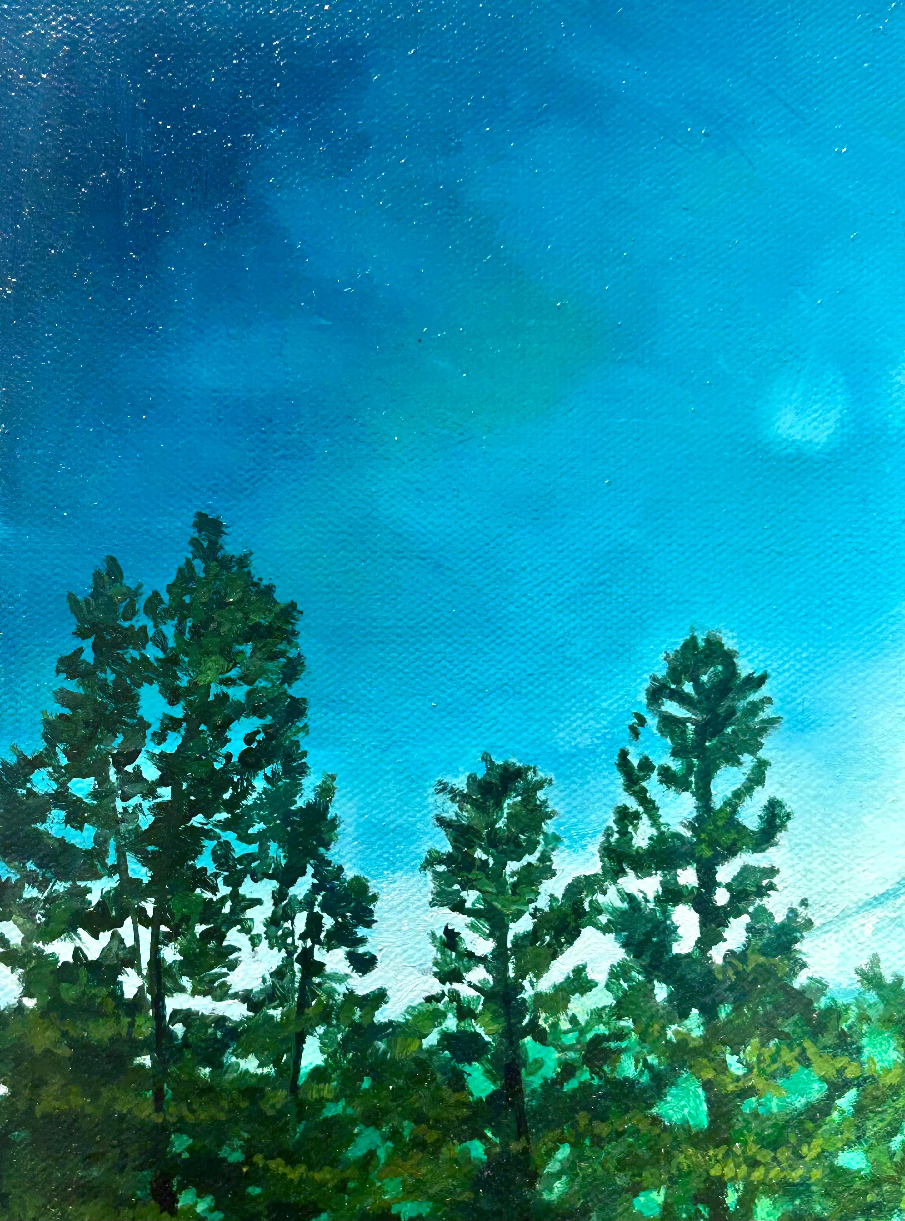 Montaña Lirio, Bosque Secreto, Parque Nacional de las Montañas Rocosas, Óleo original, Enmarcado - Painting Contemporáneo de Don Pollack