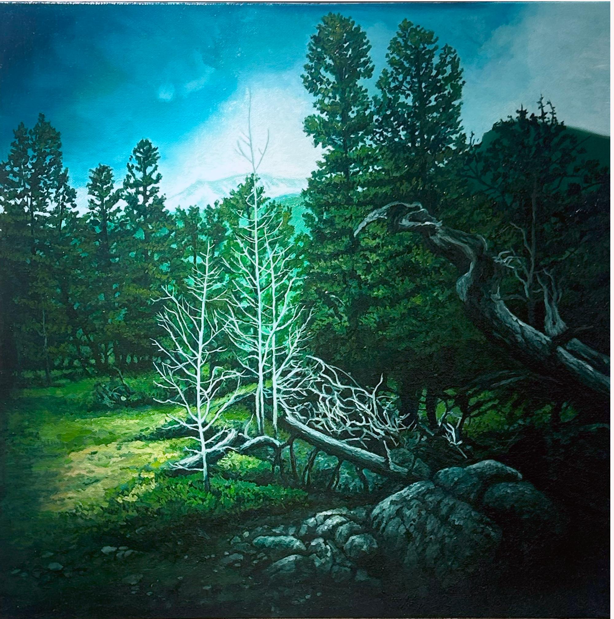 Landscape Painting de Don Pollack - Montaña Lirio, Bosque Secreto, Parque Nacional de las Montañas Rocosas, Óleo original, Enmarcado