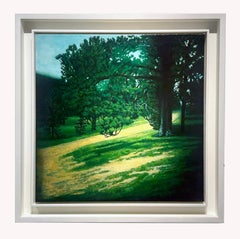 Lily Mountain Trail, Rocky Mountain National Park Colorado, Original Oil, Framed