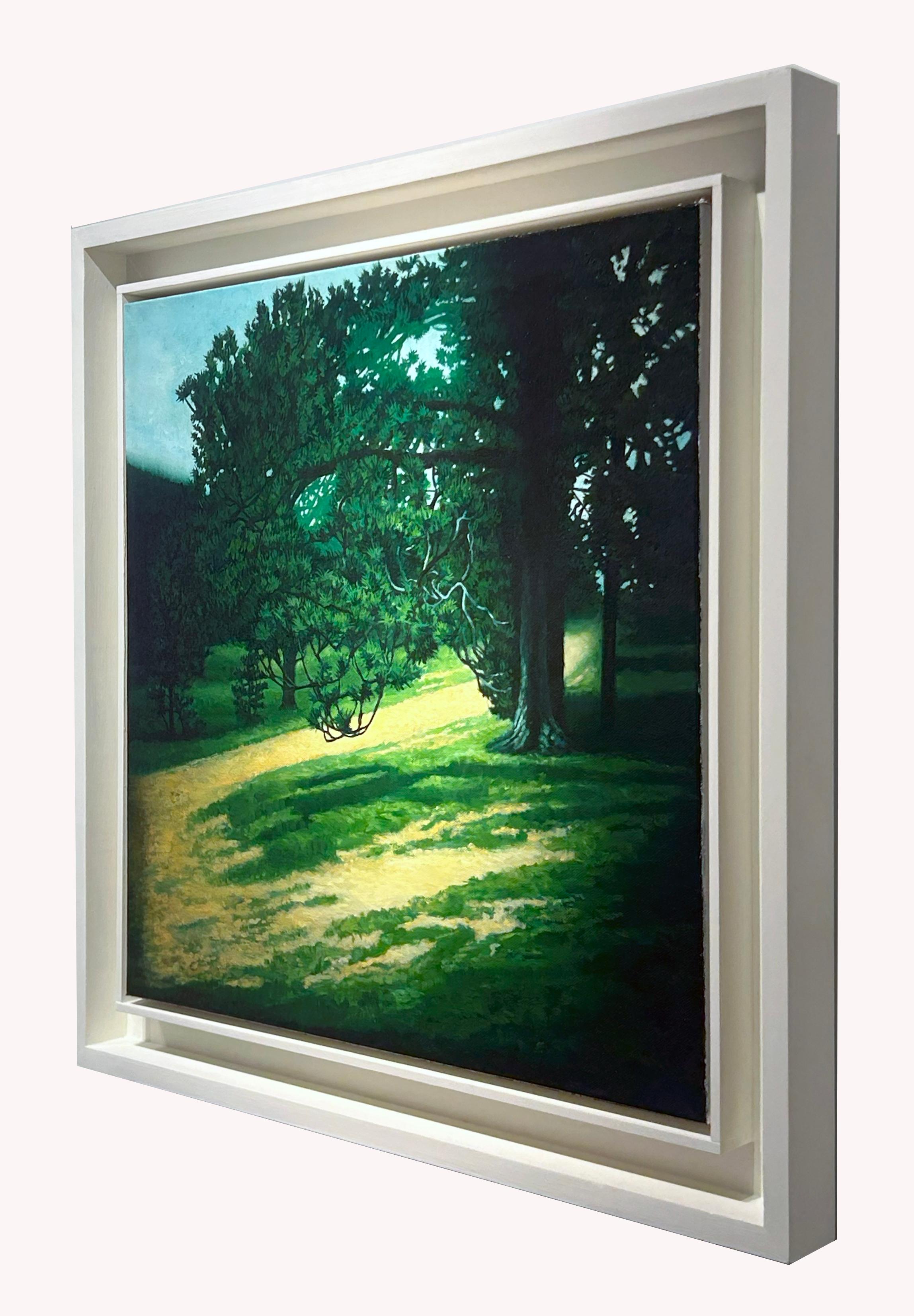 Lily Mountain Trail, Rocky Mountain National Park Colorado, Original Oil, Framed - Contemporary Painting by Don Pollack