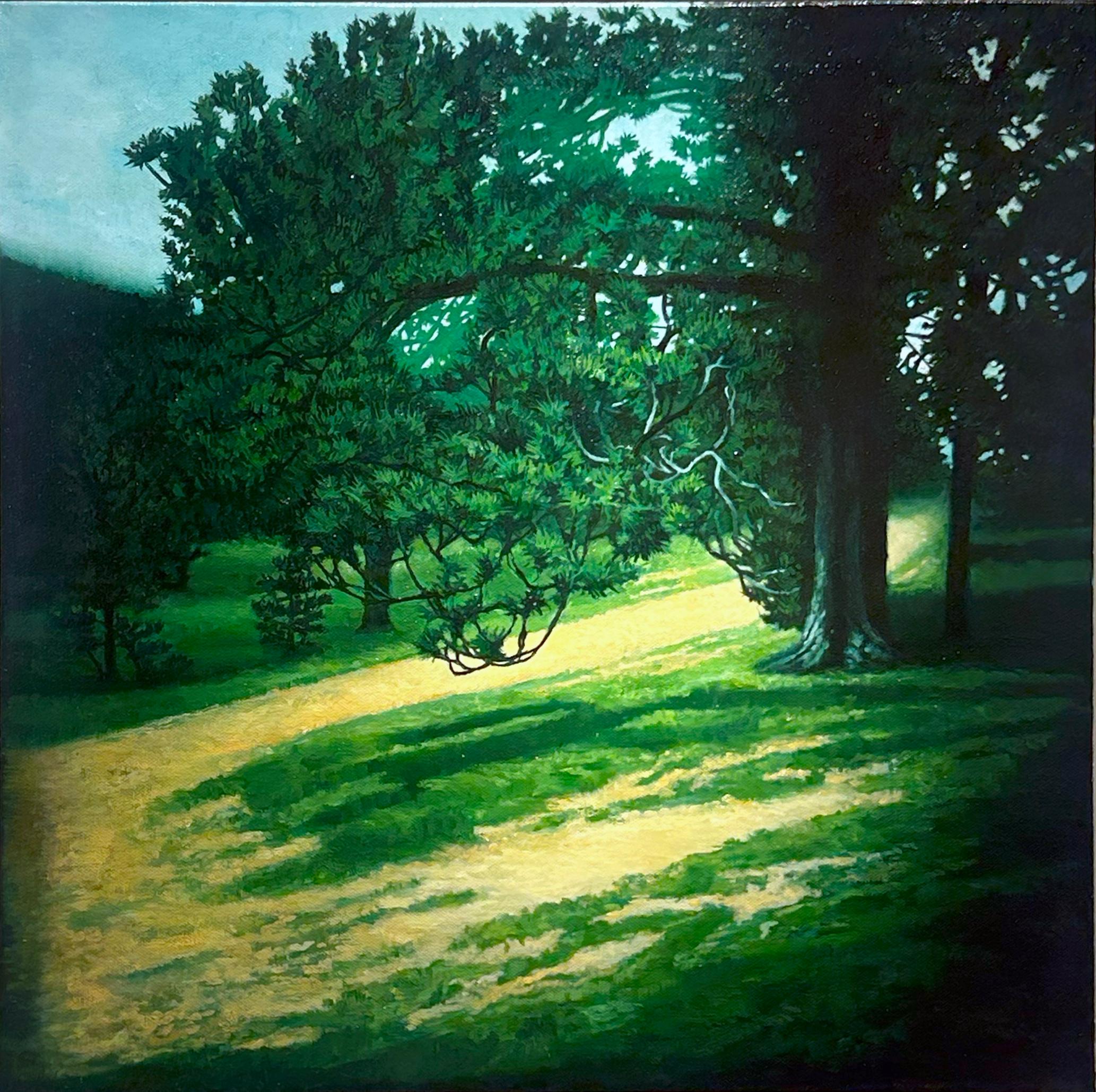 Lily Mountain Trail, Rocky Mountain National Park Colorado, Original Oil, Framed - Green Landscape Painting by Don Pollack