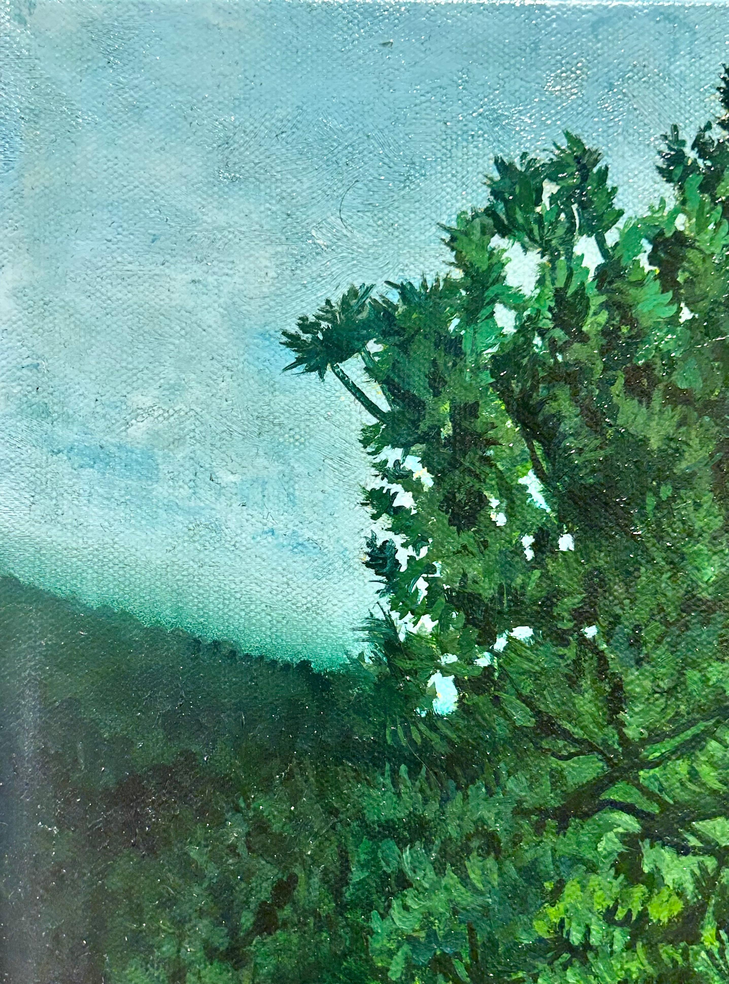 Lily Mountain Trail, Rocky Mountain National Park Colorado, Original Oil, Framed For Sale 1