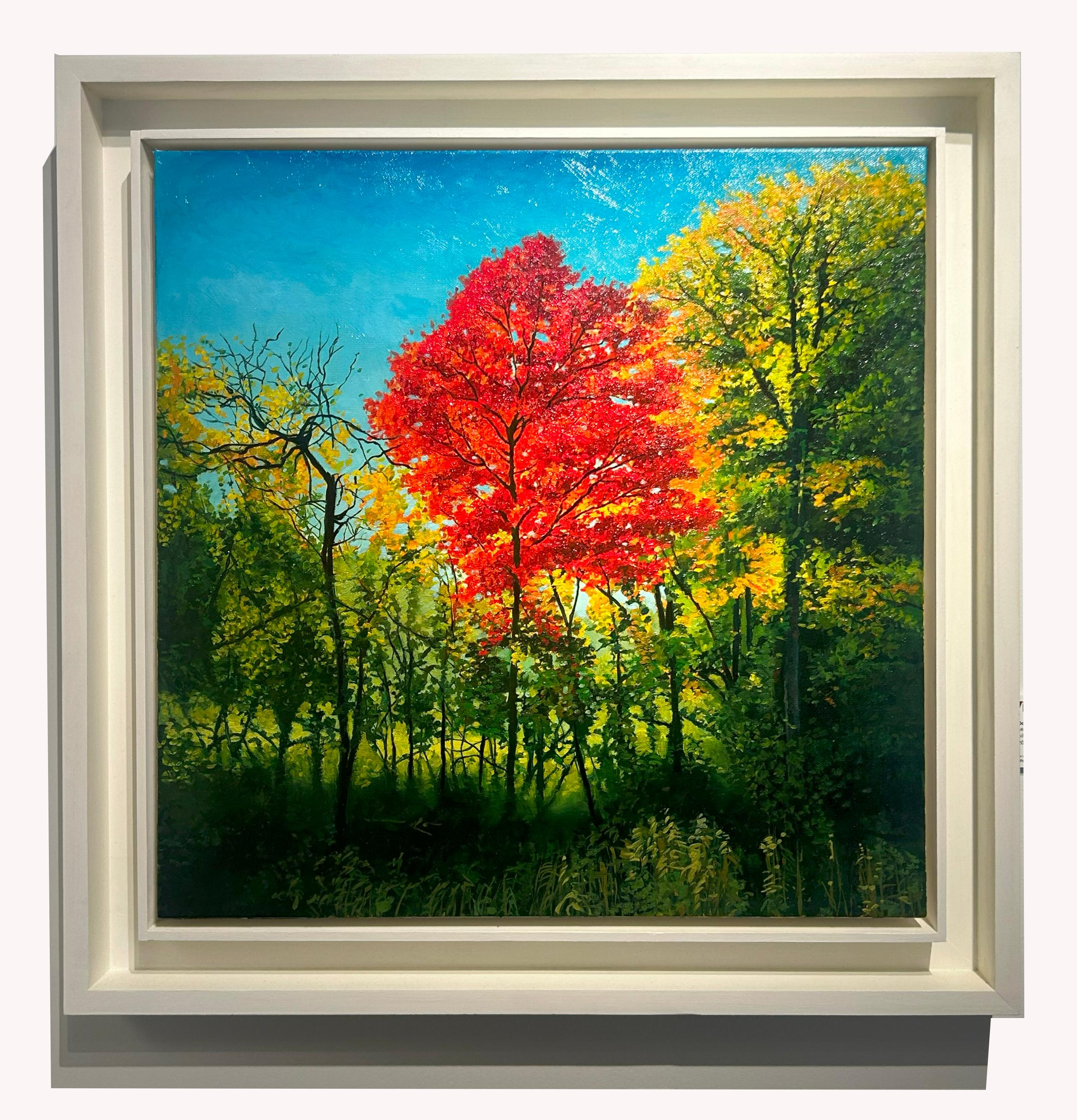 Miami Woods, Cook County Forest Preserve, Illinois, huile originale, encadrée - Painting de Don Pollack
