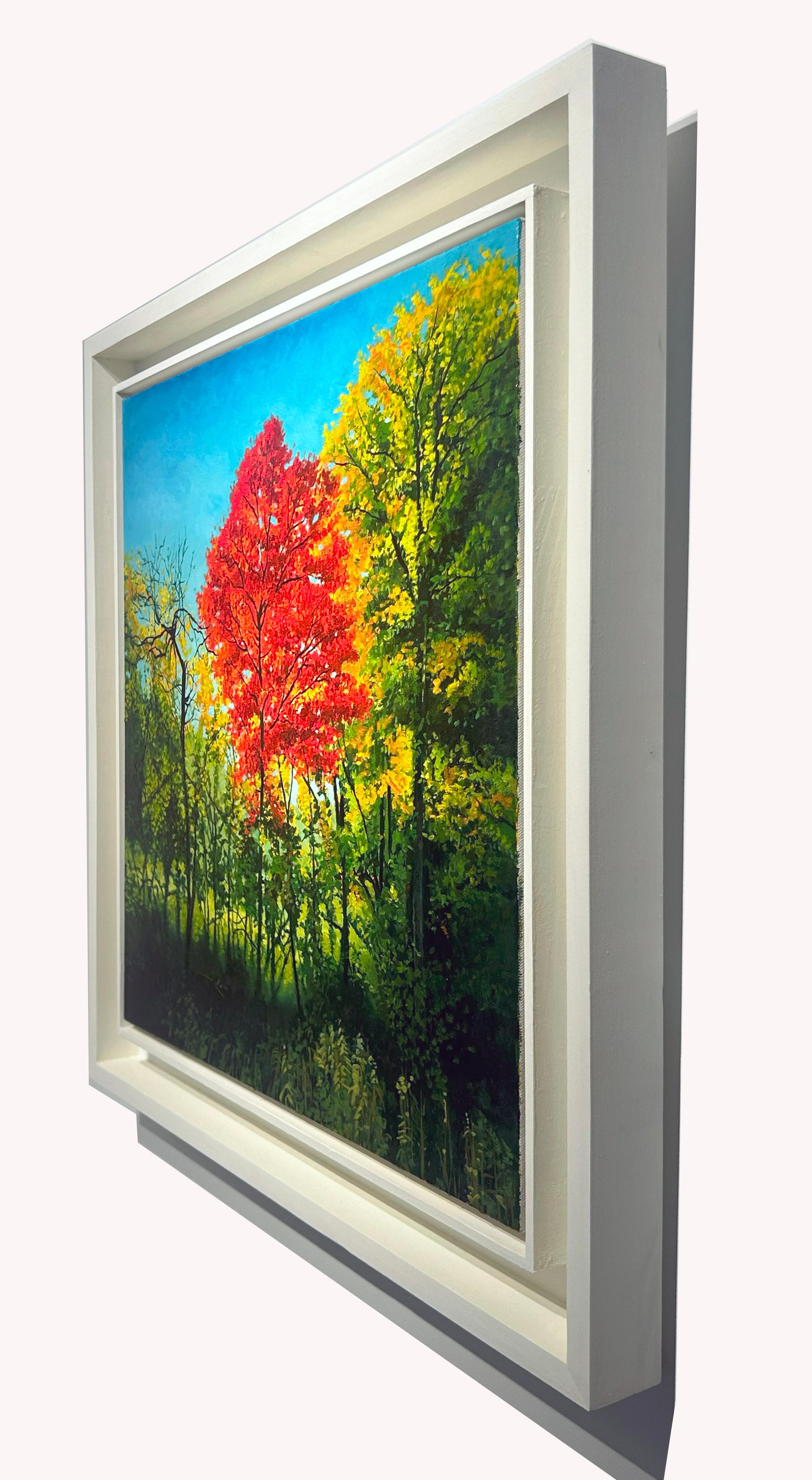 Miami Woods, Cook County Forest Preserve, Illinois, huile originale, encadrée - Contemporain Painting par Don Pollack