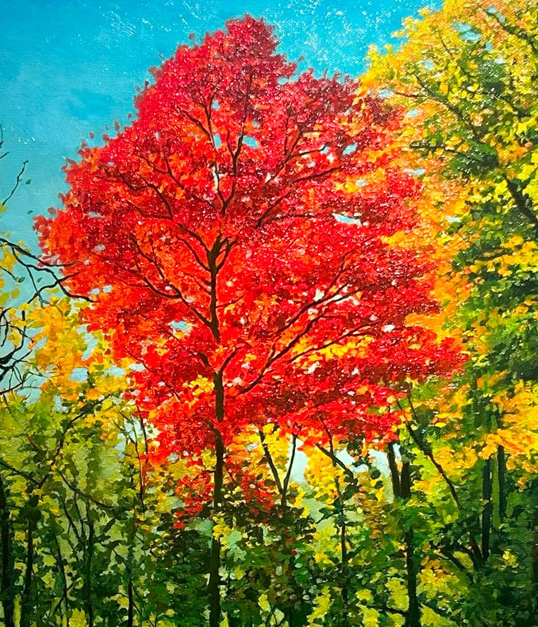 Miami Woods, Cook County Forest Preserve, Illinois, huile originale, encadrée - Noir Landscape Painting par Don Pollack