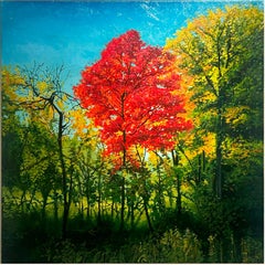 Miami Woods, Cook County Forest Preserve, Illinois, huile originale, encadrée