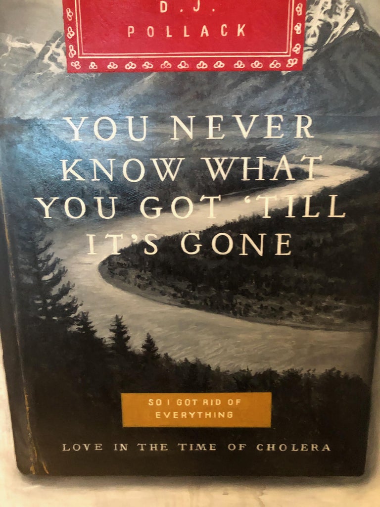Don Pollack - You Never Know What You've Got Till It's Gone - Trompe L ...