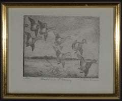 Don Swann Original Etching Blackheads at Evening 53/300, Framed