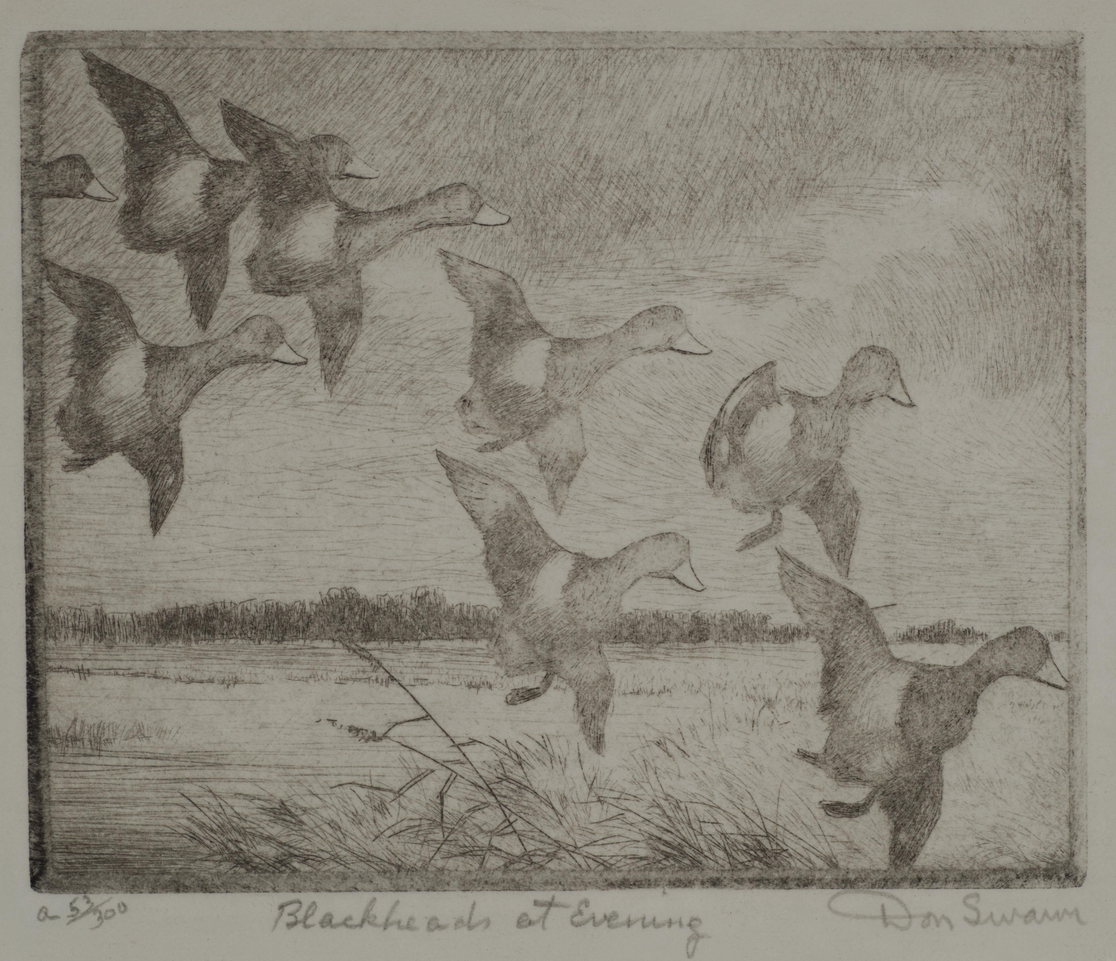 Mid-Century Modern Don Swann Original Etching Blackheads at Evening 53/300, Framed For Sale