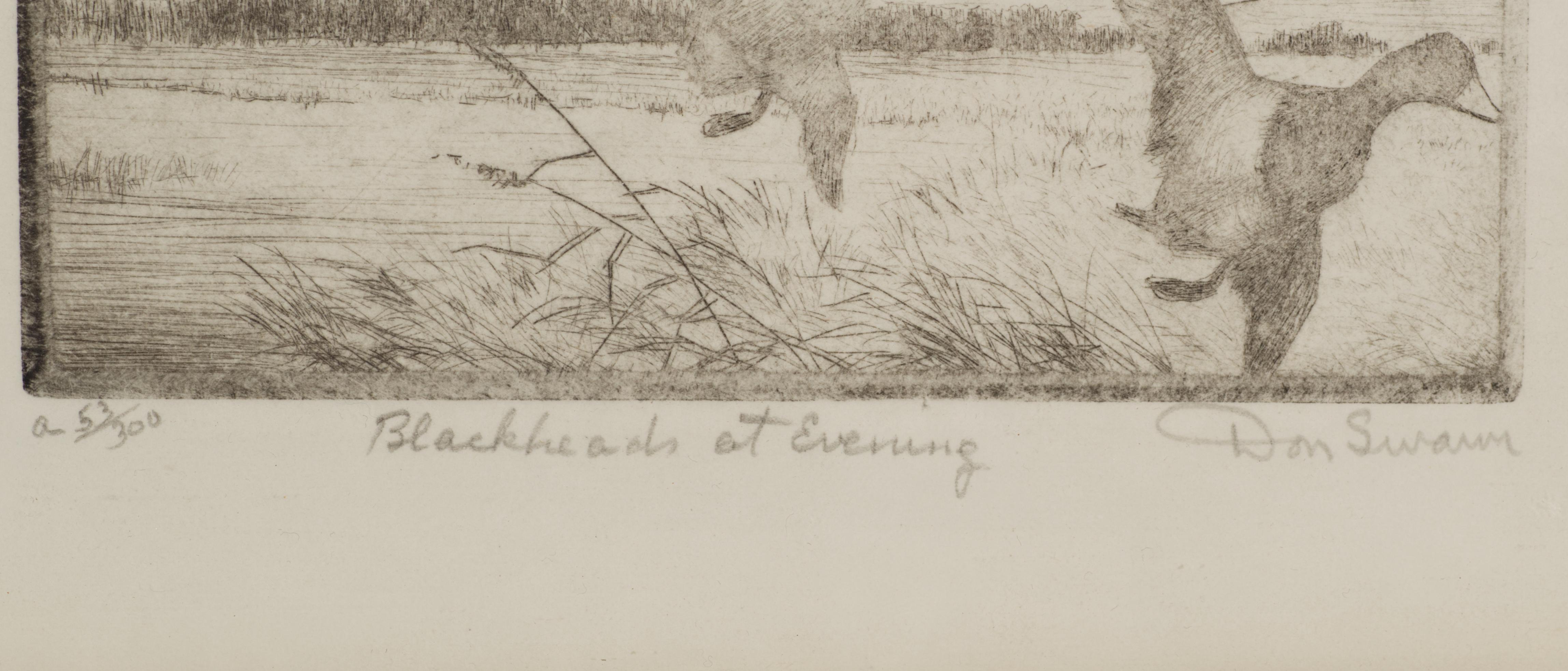 American Don Swann Original Etching Blackheads at Evening 53/300, Framed For Sale