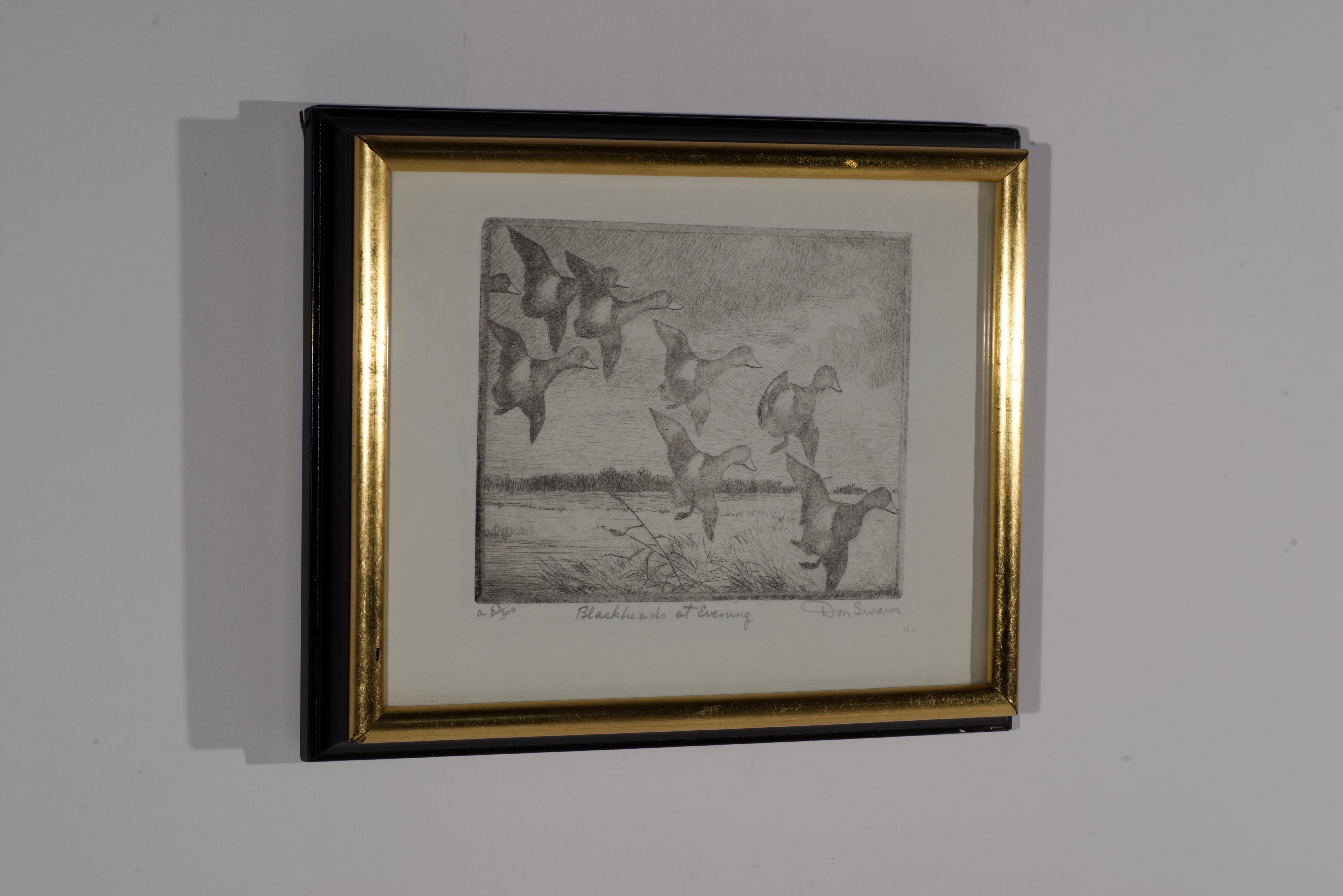 Etched Don Swann Original Etching Blackheads at Evening 53/300, Framed For Sale
