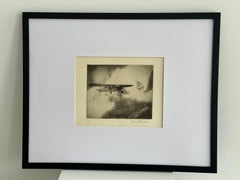 Single engine monoplane in flight