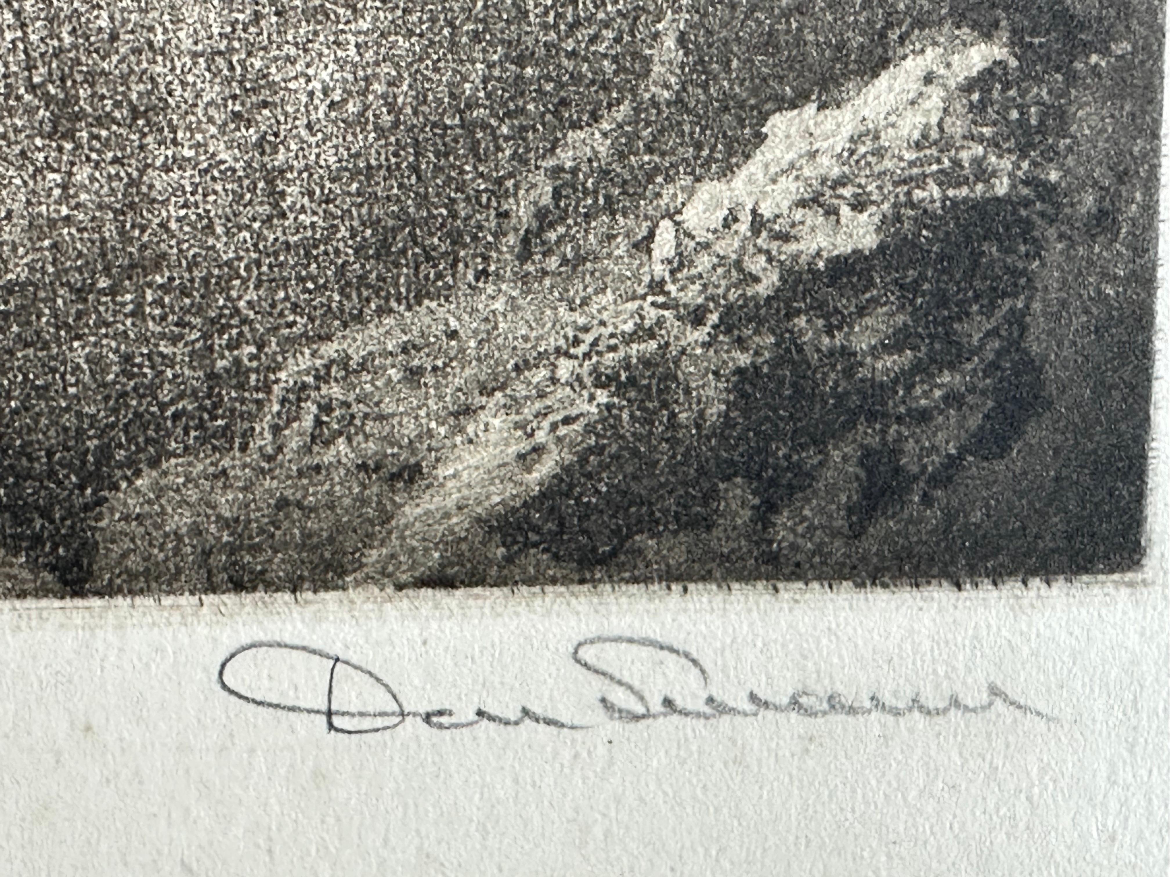Einzelner Motoren-Monogramm im Flug (Amerikanischer Impressionismus), Print, von Don Swann
