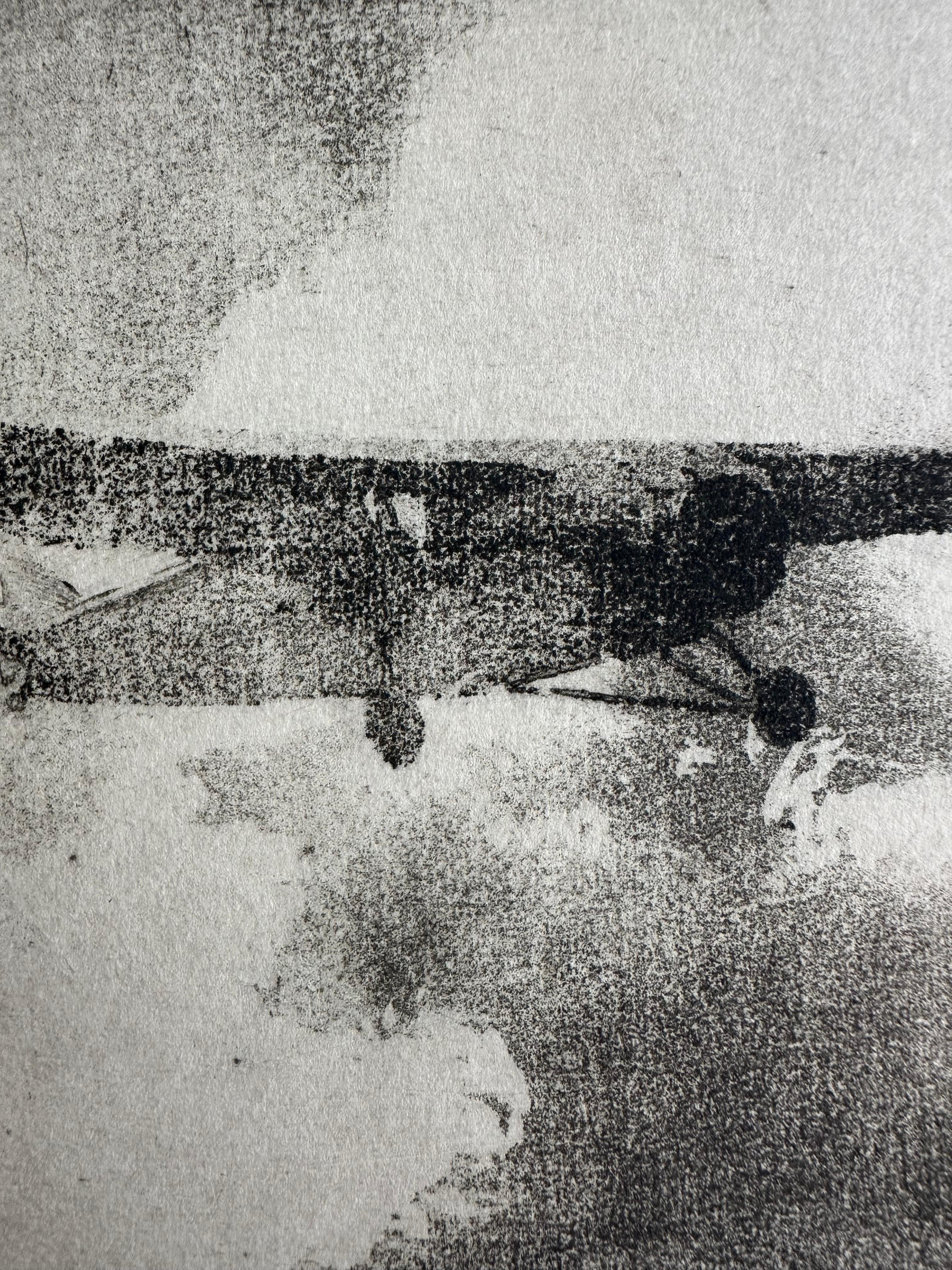 Single engine monoplane in flight - Gray Print by Don Swann