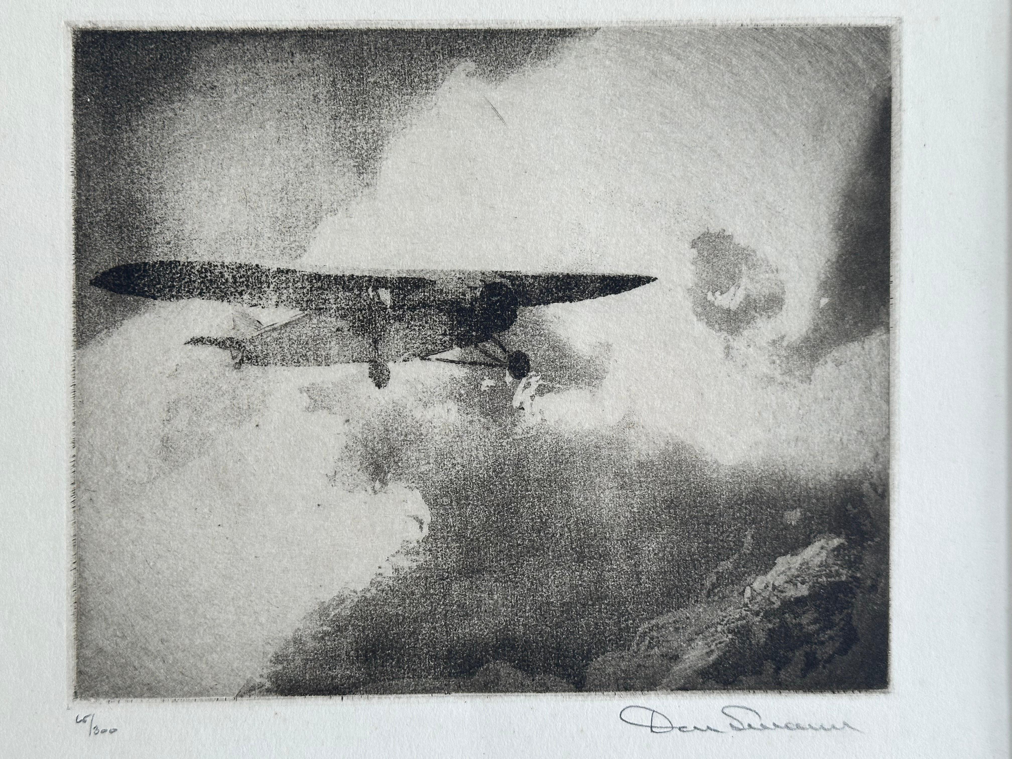 Monoplano monomotore in volo