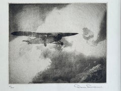 Monoplano monomotore in volo
