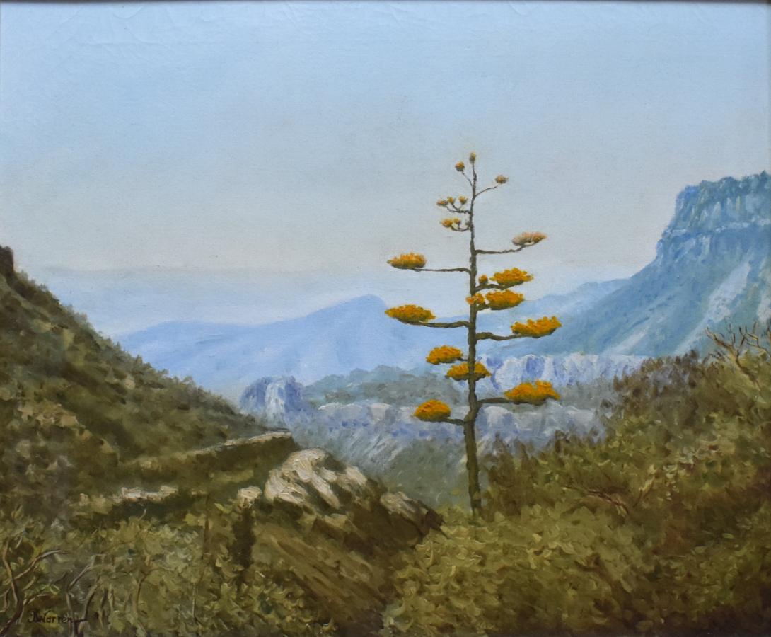 „MOUNTAINS WITH CENTURY PLANT“ VERKAUFT 29.5 X 33,5 Zoll (Impressionismus), Painting, von Don Warren
