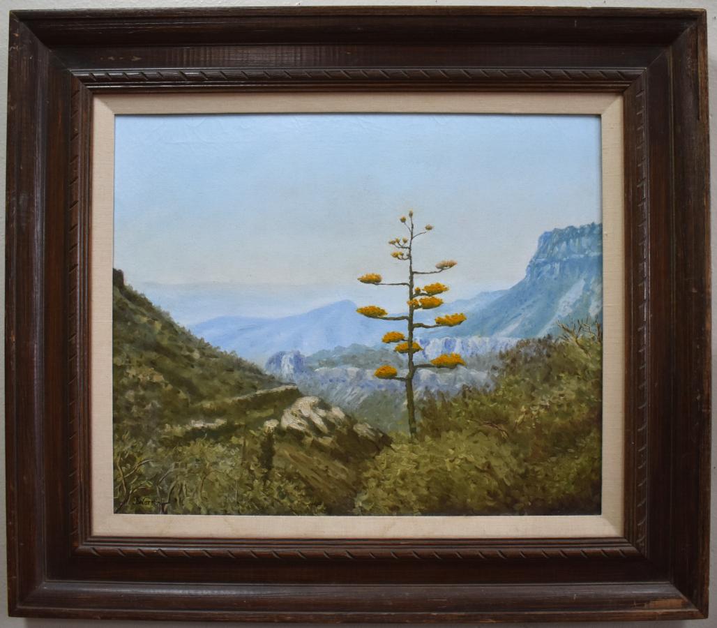Don Warren Landscape Painting – „MOUNTAINS WITH CENTURY PLANT“ VERKAUFT 29.5 X 33,5 Zoll