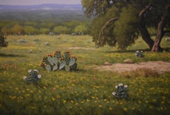 "SPRING IS HERE" OAK TREE, COREOPSIS, BLOOMING CACTUS,  TEXAS HILL COUNTRY