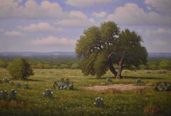 "SPRING IS HERE" OAK TREE, COREOPSIS, BLOOMING CACTUS,  TEXAS HILL COUNTRY
