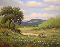 Vintage "TEXAS AT ITS BEST"  HILL COUNTRY LANDSCAPE POPPIES, OAKS, WILDFLOWERS CACTUS