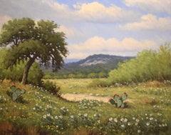 "LE TEXAS SOUS SON MEILLEUR JOUR"  POPPIES, OAKS, WILDFLOWERS CACTUS HILL COUNTRY