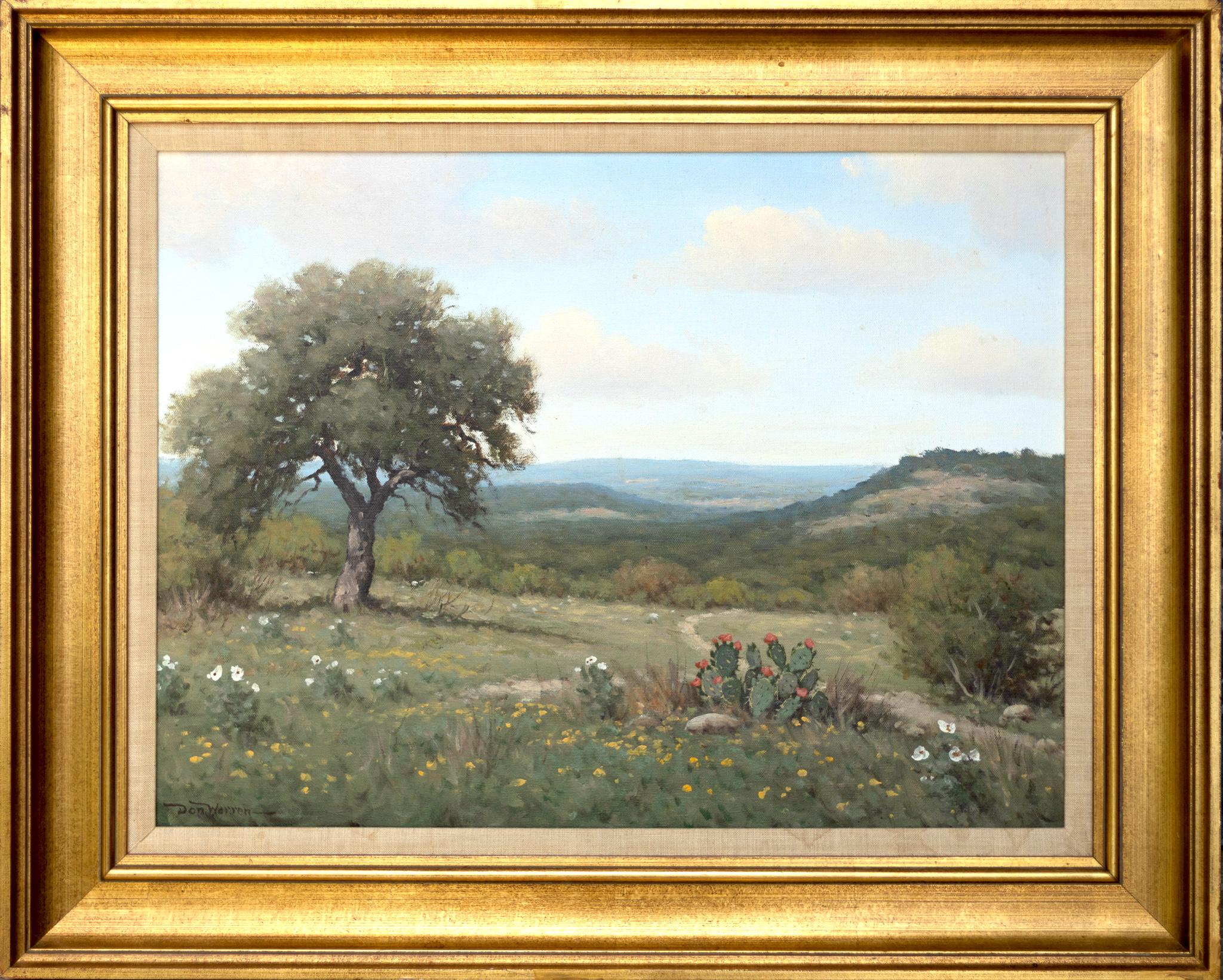 texas hill country painting