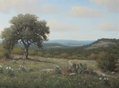 Paysage de collines du Texas avec Argemone, Coreopsis et Cactus en fleurs