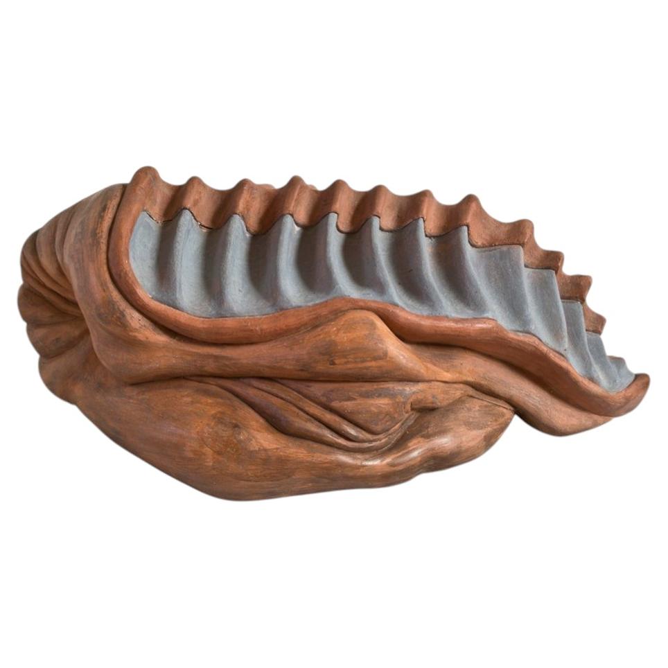 Donaji Clay Sculpture in the Shape of a Mollusk For Sale